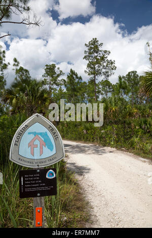 Big Cypress National Preserve, Florida - einen Teil der Florida National Scenic Trail. Stockfoto