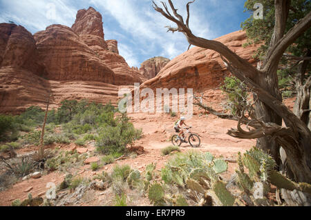 Frau reitet der u-Boot Rock Schleife im Süden Sedona, Arizona Stockfoto