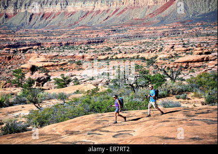 Wanderer auf dem Sandstein Esplanade des Thunder River Trail unterhalb der North Rim des Grand Canyons außerhalb Fredonia, Arizona November 2011. Stockfoto