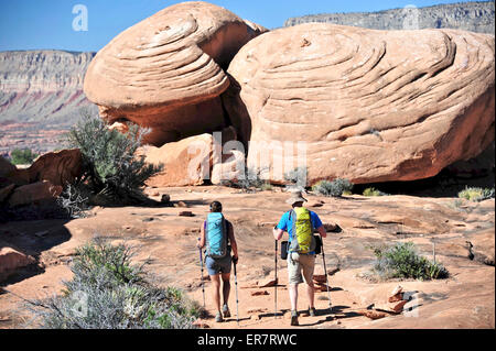 Wanderer auf dem Sandstein Esplanade des Thunder River Trail unterhalb der North Rim des Grand Canyons außerhalb Fredonia, Arizona November 2011. Stockfoto