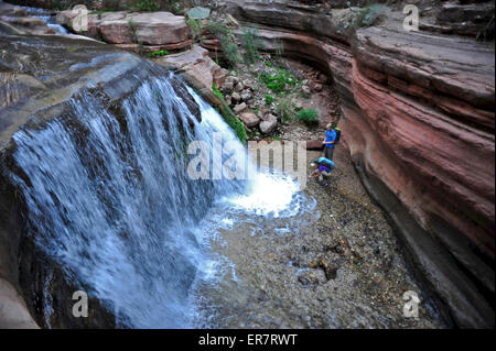 Wanderer vorbei an kleinen Wasserfällen entlang Deer Creek Narrows in den Grand Canyon außerhalb Fredonia, Arizona November 2011. Stockfoto