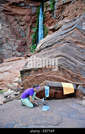 Weibliche Wanderer filtert das Wasser auf einer Klippe eingeklemmt Terrasse in der Nähe von Deer Creek Falls im Grand Canyon außerhalb Fredonia, Arizona November 2011. Stockfoto