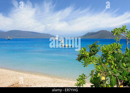 schöne blaue Wasser von einer tropischen Insel Stockfoto