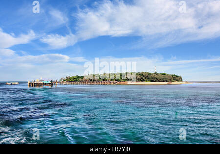 Green Island, Cairns North Queensland an sonnigen Tag Stockfoto