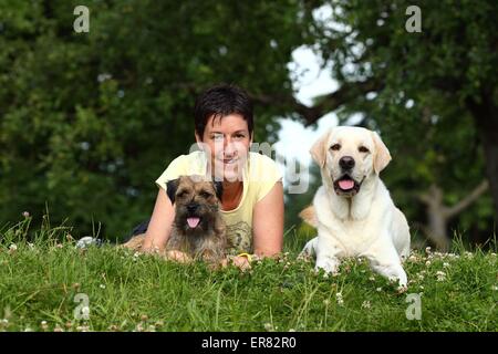 Frau und 2 Hunde Stockfoto