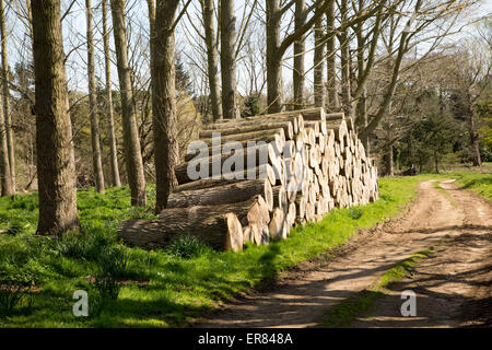 Gestapelte Holz aufgeschichtet, Sutton, Suffolk, England, UK Stockfoto