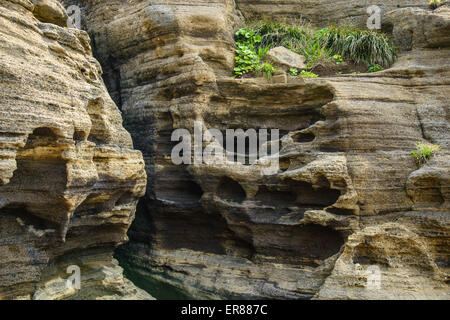 Mehrstöckige geschichteten rau und seltsame Sedimentgesteine im berühmten touristischen Ort Yongmeori Coast(Dragon head coast) in Jeju Island. Stockfoto