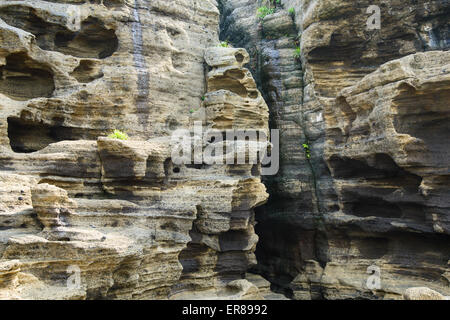 Mehrstöckige geschichteten rau und seltsame Sedimentgesteine im berühmten touristischen Ort Yongmeori Coast(Dragon head coast) in Jeju Island. Stockfoto