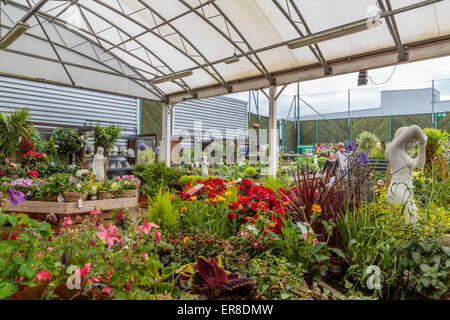 Pflanzen, Blumen, Statuen und viele Gartenbedarf sind in einem Homebase Garden Centre London England UK erhältlich Stockfoto