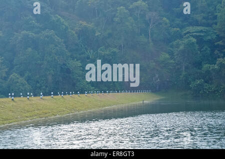 Friedliche und nebligen Morgen in nationalen Reserve Wasserpark im Norden Thailands Stockfoto