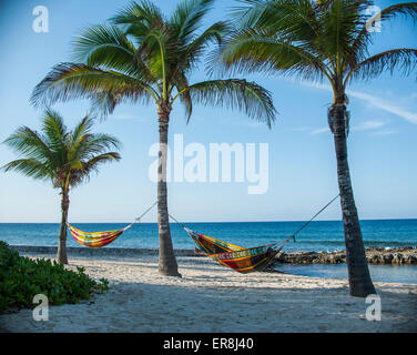 Hängematten an Palmen am Strand gegen Himmel gebunden Stockfoto