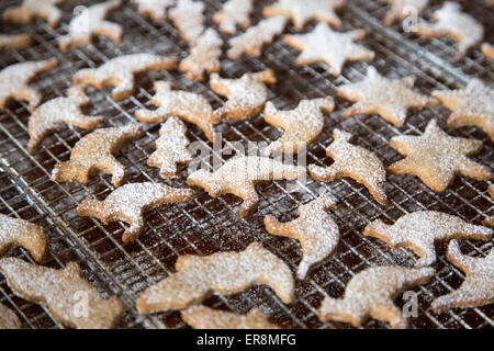 Cookies, bestreut mit Puderzucker auf Kuchengitter Stockfoto