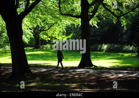 Eine Frau kommt auf einem von Bäumen gesäumten Pfad im Bereich Clifton Bristol in der Nähe von Clifton Suspension Bridge. Stockfoto