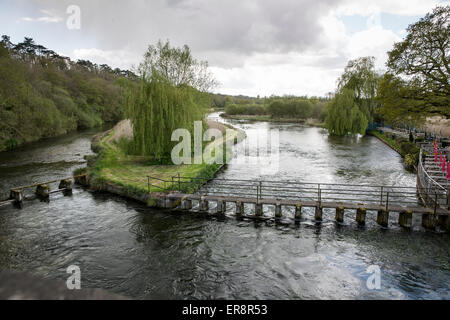 Brücke, Fluss-Test am Riverside Pub Eintagsfliege, Fullerton, Stockbridge, Hampshire, UK. Stockfoto