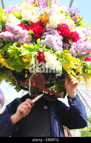 Eine Girlande Maker macht den letzten Schliff mit einer floralen Kopfschmuck aus zur Feier des Oak Apple Day, Castleton, Derbyshire, UK Stockfoto