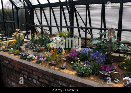 RHS WISLEY DAS ALPENHAUS HAT HOCHBETTEN Stockfoto