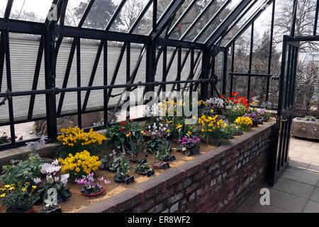 RHS WISLEY DAS ALPENHAUS HAT HOCHBETTEN Stockfoto