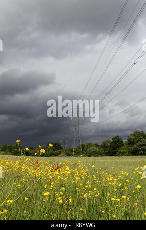 Tolworth Surrey England. 29. Mai 2015. Auf einer Wiese von Butterblumen an einem Tag Regen folgt Sonnenschein und Duschen dunkle Gewitterwolken füllen den Himmel über Tolworth Gericht Nature Reserve Surrey. Bildnachweis: Julia Gavin UK/Alamy Live-Nachrichten Stockfoto