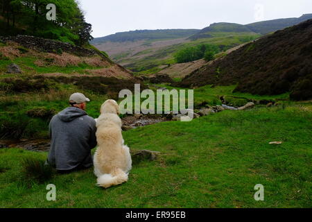 Mans besten Freund Stockfoto