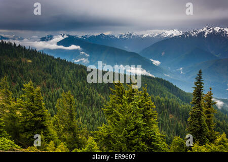 Blick auf die verschneiten Olympic Mountains von Hurricane Ridge, in Olympic Nationalpark, Washington. Stockfoto