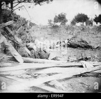 Schauplatz von Ewells Angriff, 19. Mai 1864, in der Nähe von Spottsylvania I. Stockfoto