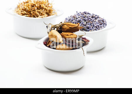 Getrockneten Lavendel, Rosenknospen und Calendula auf weißem Hintergrund Stockfoto