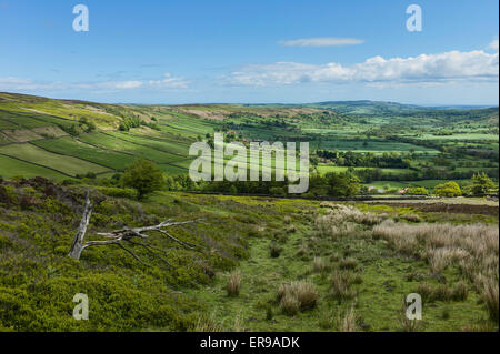 North York Moors National Park zeigt Glaisdale Dale mit Ackerland, Bäume, Felder, Wollgras bei bewölktem Himmel hell. Stockfoto