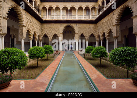 Widerspiegelnder Teich im Innenhof der Jungfrauen im Alcazar Palast Sevilla Andalusien Spanien Stockfoto