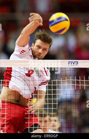 Danzig, Polen. 29. Mai 2015. Andrzej Wrona (POL), Polen gegen Russland, FIVB Men Volleyball-Weltliga, © Action und Sport/Alamy Live-Nachrichten Stockfoto