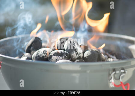 Barbeque-Grill, Rauch, Flammen Stockfoto