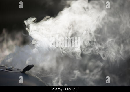 Barbeque-Grill, Rauch, Flammen Stockfoto