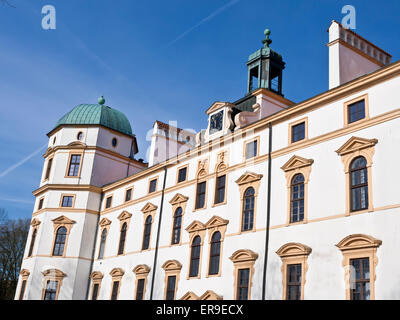 Schloss Celle, Burg, Niedersachsen, Deutschland Stockfoto