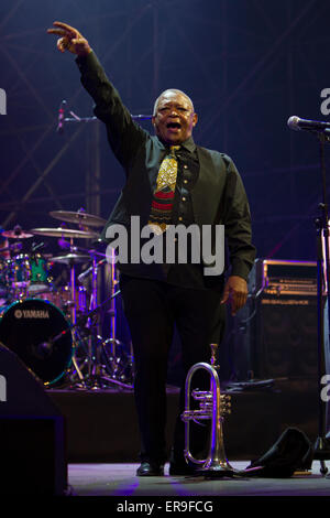 Turin, Italien, 29. Mai 2015. Südafrikanische Jazzmusiker Hugh Masekela in Konzert in Torino Jazz Festival Stockfoto