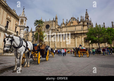 Pferdekutsche Kutschen in Plaza Triunfo mit Student Touristen auf der Rückseite der Kathedrale von Sevilla Stockfoto