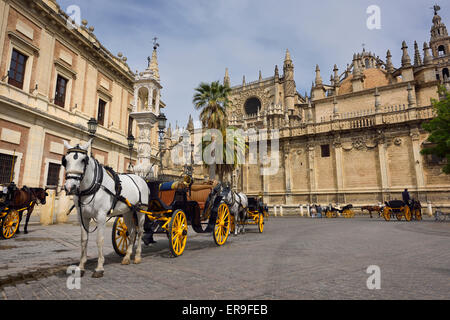 Pferdekutschen in Plaza Triunfo hinter der Kathedrale in Sevilla Andalusien Stockfoto