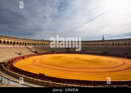 Golden präparierten Sand und leer steht bei den ovalen Sevilla Stierkampf ring mit Giralda Turm Stockfoto