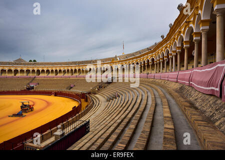 Piste auf dem goldenen Sand mit leeren Rängen in der ovalen Stierkampfarena in Sevilla Stockfoto