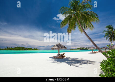 Liegestühle unter Palmen auf einer leeren tropischen Strand Malediven Stockfoto