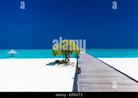 Schöner Strand mit Wodden Anlegesteg und einzelne Kleinbaum in Malediven Stockfoto