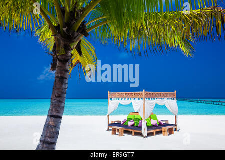 tropische Hochzeit Zeremonie Lage. schönen blauen Himmel und Palmen Baum Stockfoto