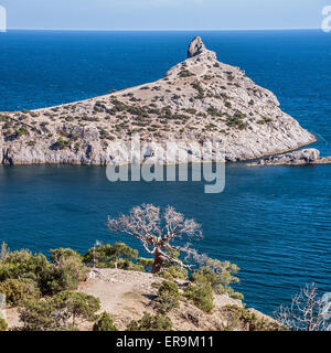 Krim, in der Nähe von Dorf Novy Svet. Blue Bay mit dem königlichen Strand. Wacholder und Kiefern Waldungen Relikt Stockfoto