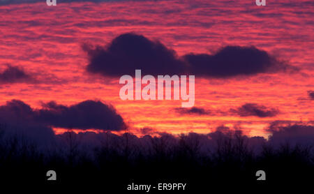 Rot und Orange geschichteten Wolken bei Sonnenuntergang, Cornwall, England, UK. Stockfoto