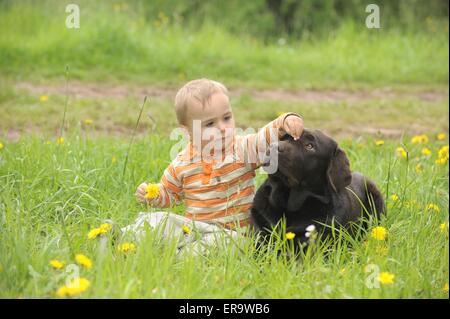 Kind und Labrador Retriever Stockfoto