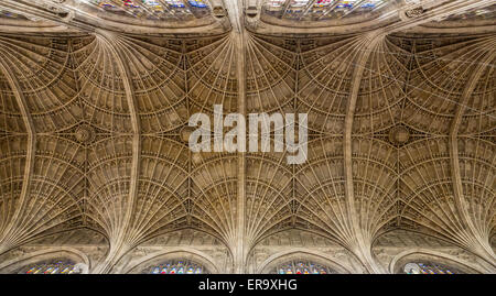 Großbritannien, England, Cambridge.  Kings College Chapel, Gewölbe der Decke. Stockfoto