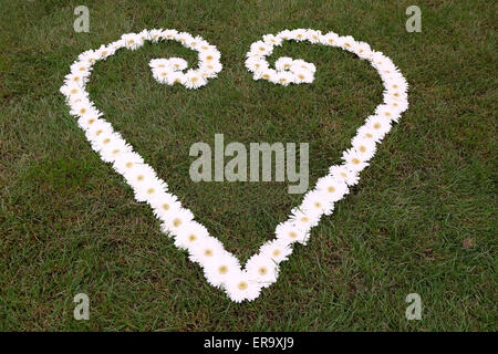 Blumen auf Floraart, 50 Internationale Gartenschau in Zagreb, Kroatien, am 27. Mai 2015 ausgesetzt. Stockfoto