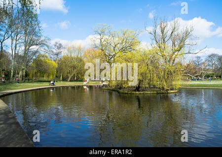 dh Ente Rowntree Park YORK YORKSHIRE Leute Teich uk Park Frühling Stockfoto