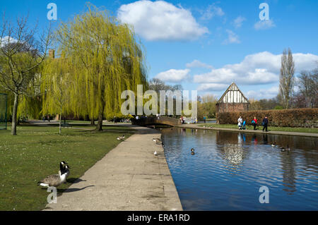 Dh Rowntree Park YORK YORKSHIRE Gänse park Ententeich Pfad Frühling uk spring garden öffentlichen Raum Stadt Stockfoto