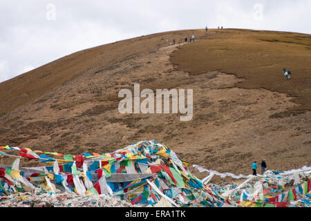 Flaggen In Tibet zu beten Stockfoto