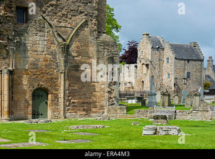 Die Kathedrale, Elgin, Moray, Schottland UK Stockfoto