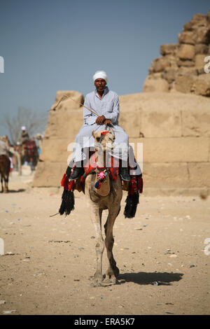 Ein Kamel und seinem Reiter in der Nähe von dem Plateau von Gizeh Kairo Ägypten Stockfoto